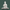 Buddha Marble Statue