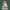 Shiva Marble Statue
