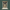 Tirupati Balaji Marble Statue