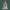 Laxmi mata marble murti