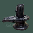 Black Stone Shivling