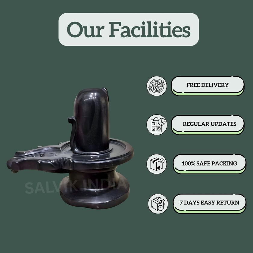 Black Stone Shivling