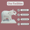 Elephant Statue for Home 2