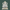 Ganpati Marble Murti