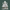  Ganpati White Marble Idol