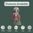 Hanuman idol for home 1
