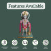 Hanuman idol for home 1