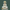 Hanuman ji marble murti