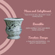 Indoor Plant Pots 3