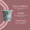 Indoor Plant Pots 3