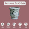 Indoor Plant Pots 1