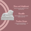 Lion Statue For Home 3