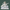 Maa Saraswati Marble Murti