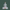 Mahavir bhagwan ki murti