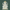 Marble Ganesh Murti