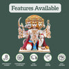 Panchmukhi Hanuman Murti  1