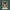 Tirupati balaji marble statue
