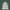 White Marble Ganesh Murti 