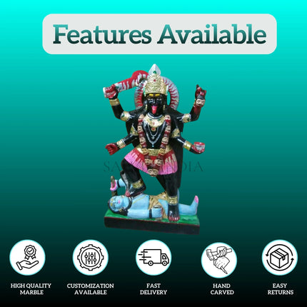 Black Marble Kali Mata idol placed in Home Temple