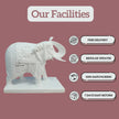 Elephant Statue for Home - Salvik | Marble Murti Manufacturers in India
