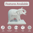 Elephant Statue for Home - Salvik | Marble Murti Manufacturers in India