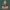 Jhulelal marble Idol
