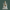 Laxmi mata marble Idol