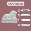 Lion Statue For Home - Salvik | Marble Murti Manufacturers in India