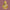 Marble Bani Thani 24 Inch - Salvik | Marble Murti Manufacturers in India