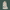 radha krishna idol Marble