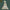 Swaminarayan Marble Statue in 12 Inch to 60 Inch - Salvik | Marble Murti Manufacturers in India